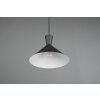 Reality Enzo Pendant Light black, 1-light source