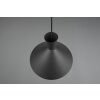 Reality Enzo Pendant Light black, 1-light source