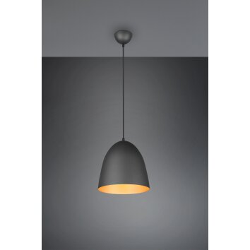 Reality Tilda Pendant Light black-gold, 1-light source