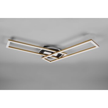 Reality Twister Ceiling Light LED brass, 1-light source, Remote control