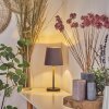 Frandina Table lamp gold, grey, 1-light source