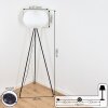 Regufe Floor Lamp black, 1-light source