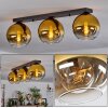 Koyoto  Ceiling Light glass 20 cm gold, clear, 3-light sources