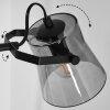 Trajouca Floor Lamp black, 2-light sources