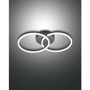 Fabas Luce Giotto Ceiling Light LED black, 1-light source