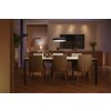 Philips Hue Enrave Pendant Light LED black, 1-light source, Remote control