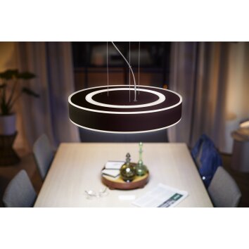 Philips Hue Enrave Pendant Light LED black, 1-light source, Remote control