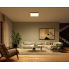 Philips Hue Surimu Ceiling Light LED white, 1-light source, Colour changer