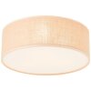 Brilliant Aniela Ceiling Light white, 2-light sources