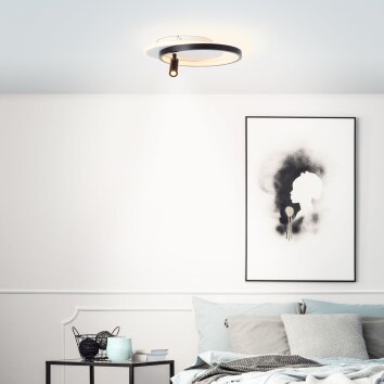 Brilliant Eunomia Ceiling Light LED black, white, 1-light source