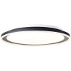 Brilliant Pederson Ceiling Light LED black, white, 1-light source, Remote control