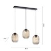 Paul Neuhaus SHITAKE Pendant Light black, 3-light sources