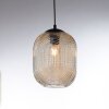Paul Neuhaus SHITAKE Pendant Light black, 3-light sources
