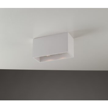Luce Design Foster Ceiling Light can be painted with regular paint, white, 2-light sources