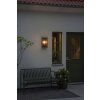 Konstsmide Carpi Outdoor Wall Light brass, 1-light source