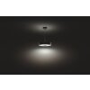 Philips Hue Fair Pendant Light LED black, 1-light source, Remote control