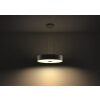 Philips Hue Fair Pendant Light LED black, 1-light source, Remote control
