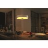 Philips Hue Fair Pendant Light LED white, 1-light source, Remote control