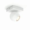 Philips Hue Buckram Ceiling Light LED white, 1-light source, Remote control