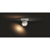 Philips Hue Buckram Ceiling Light LED white, 1-light source, Remote control