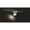 Philips Hue Buckram Ceiling Light LED white, 1-light source, Remote control