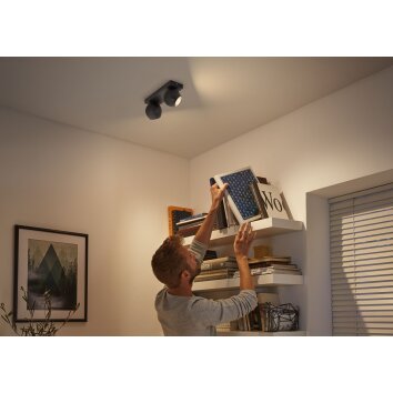 Philips Hue Buckram Ceiling Light LED black, 2-light sources, Remote control