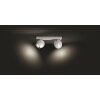 Philips Hue Buckram Ceiling Light LED white, 2-light sources, Remote control
