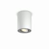 Philips Hue Pillar Ceiling Light LED white, 1-light source
