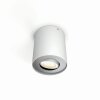 Philips Hue Pillar Ceiling Light LED white, 1-light source