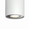 Philips Hue Pillar Ceiling Light LED white, 1-light source