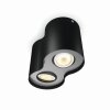 Philips Hue Pillar Ceiling Light LED black, 2-light sources, Remote control