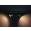 Philips Hue Runner Ceiling Light LED black, 2-light sources, Remote control