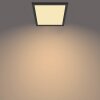 Philips Touch SceneSwitch Ceiling Light LED black, 1-light source