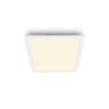 Philips Touch SceneSwitch Ceiling Light LED white, 1-light source
