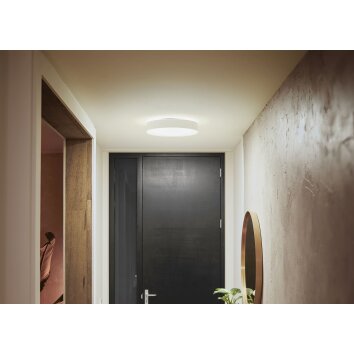 Philips Hue Enrave Ceiling Light LED white, 1-light source, Remote control