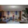 Philips Hue Enrave Ceiling Light LED white, 1-light source, Remote control