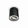 Philips Hue Pillar Ceiling Light LED black, 1-light source