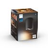 Philips Hue Pillar Ceiling Light LED black, 1-light source