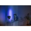 Philips Hue Gradient Signe Table lamp LED white, 1-light source, Colour changer