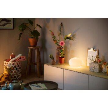 Philips Hue Flourish Table lamp LED white, 1-light source, Colour changer