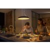Philips Hue Amaze Pendant Light LED black, 1-light source, Remote control