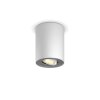 Philips Hue Pillar Ceiling Light LED white, 1-light source, Remote control