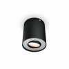 Philips Hue Pillar Ceiling Light LED black, 1-light source, Remote control