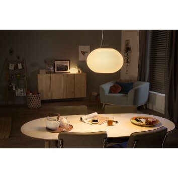 Philips Hue Flourish Pendant Light LED white, 1-light source, Colour changer