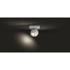 Philips Hue Buckram Ceiling Light LED white, 1-light source