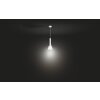 Philips Hue Explore Pendant Light LED white, 1-light source, Remote control