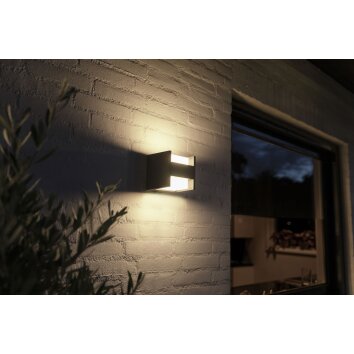 Philips Hue White Fuzo Outdoor Wall Light LED black, 1-light source