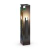 Philips Hue White Fuzo path light LED black, 1-light source