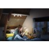 Philips Hue Runner Ceiling Light LED white, 3-light sources, Remote control