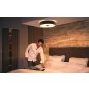 Philips Hue Fair Ceiling Light black, 1-light source, Remote control